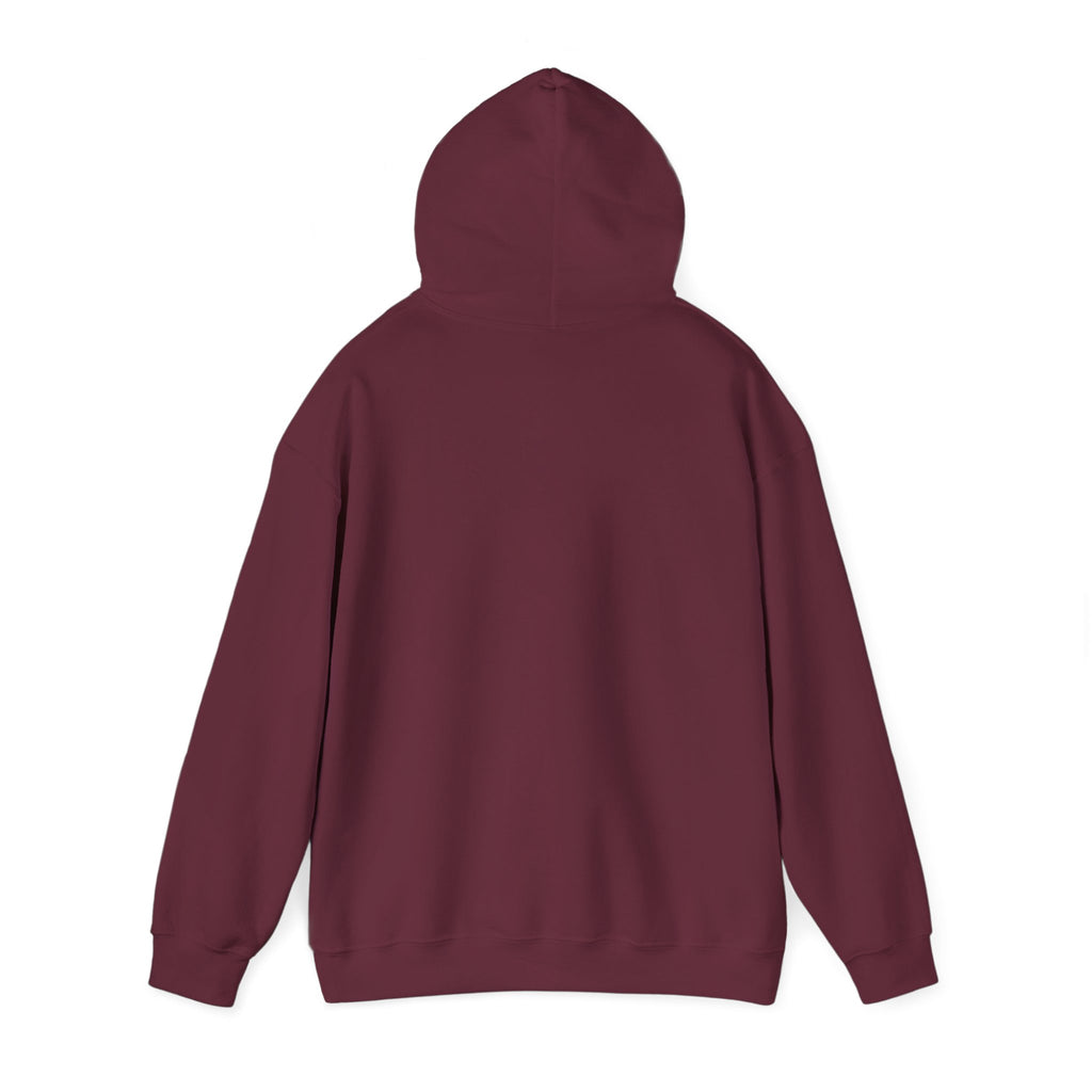 Wolfeboys Racing Hoodie – American Flag Graphic Racing Pullover