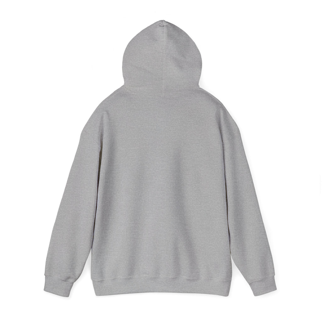 Wolfeboys Racing Hoodie – American Flag Graphic Racing Pullover